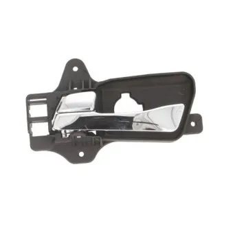 Poignet de porte, équipment intérieur avant gauche BLIC 6010-20-034409P