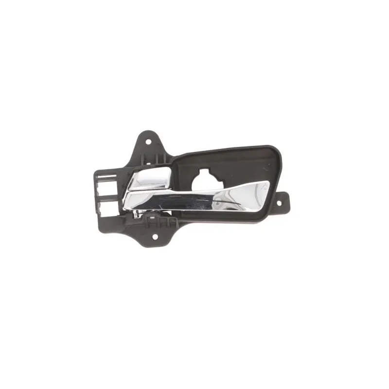 Poignet de porte, équipment intérieur avant gauche BLIC 6010-20-034409P
