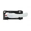 Poignet de porte, équipment intérieur avant gauche BLIC 6010-22-011409P - Visuel 1