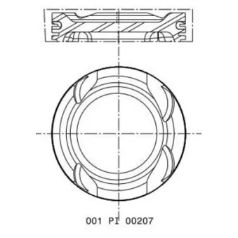 Piston MAHLE 001 PI 00207 002