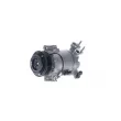 Compresseur, climatisation MAHLE ACP 556 000S - Visuel 2