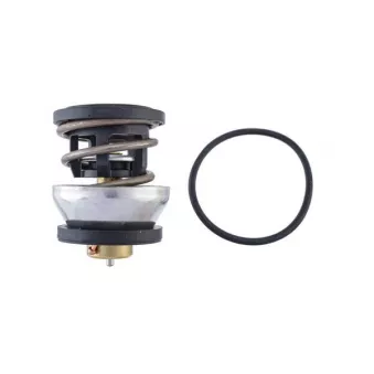 Thermostat, liquide de refroidissement MAHLE TX 490 91D