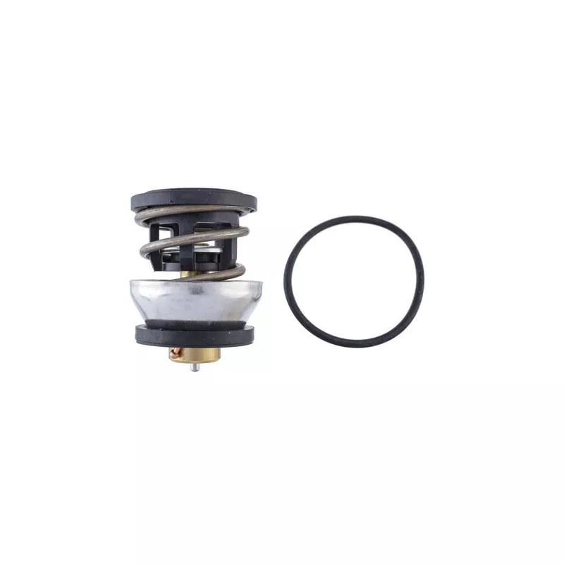 Thermostat, liquide de refroidissement MAHLE TX 490 91D
