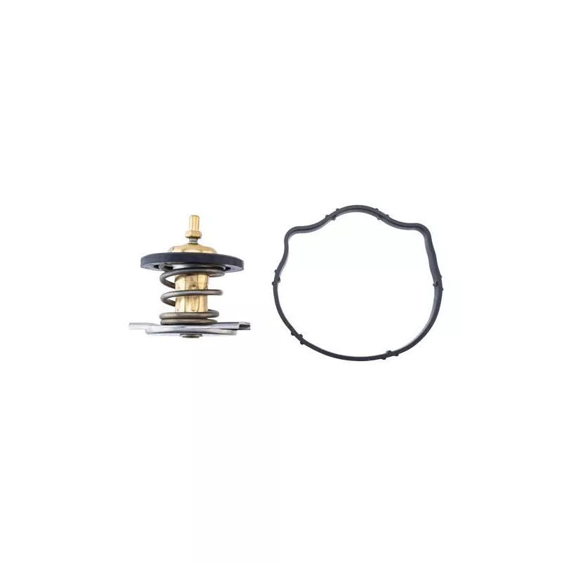 Thermostat, liquide de refroidissement MAHLE TX 494 87D