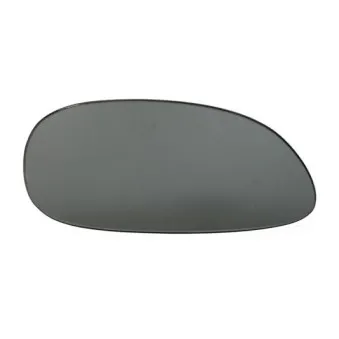 Verre de rétroviseur, rétroviseur extérieur BLIC 6102-01-0103P