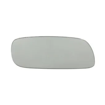 Verre de rétroviseur, rétroviseur extérieur BLIC 6102-01-0125P