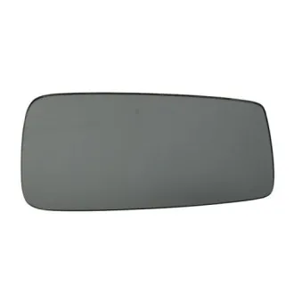 Verre de rétroviseur, rétroviseur extérieur BLIC 6102-01-0170P