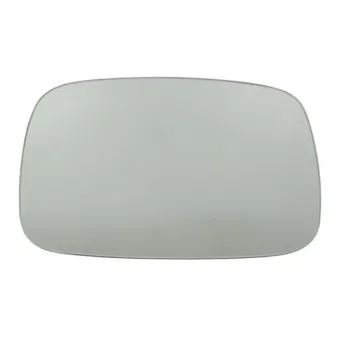 Verre de rétroviseur, rétroviseur extérieur BLIC 6102-01-0904P