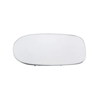 Verre de rétroviseur, rétroviseur extérieur BLIC 6102-02-0220P