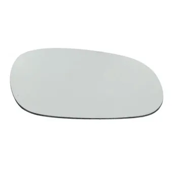 Verre de rétroviseur, rétroviseur extérieur BLIC 6102-02-1033P