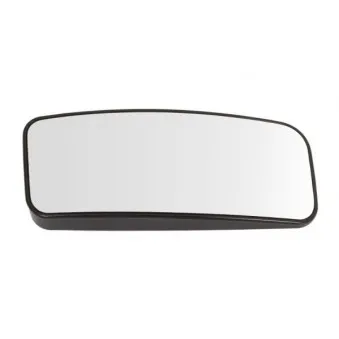 Verre de rétroviseur, rétroviseur extérieur BLIC 6102-02-1211992P