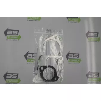 Turbocompresseur, suralimentation DA SILVA AS1443
