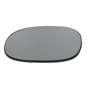 Verre de rétroviseur, rétroviseur extérieur BLIC 6102-02-1231851P
