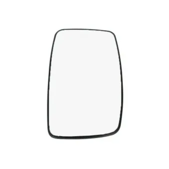 Verre de rétroviseur, rétroviseur extérieur BLIC 6102-02-1231955P