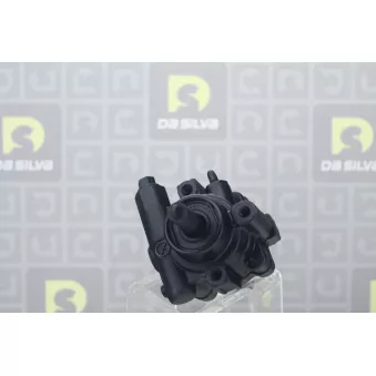 Pompe hydraulique, direction DA SILVA DP2184