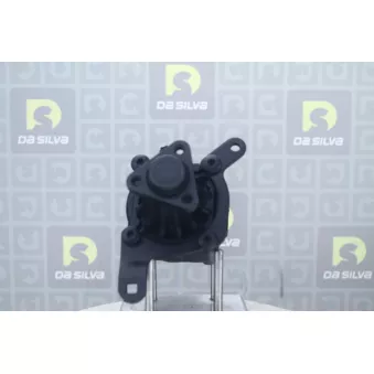 Pompe hydraulique, direction DA SILVA DP2760