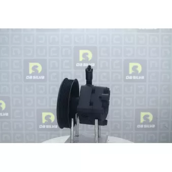 Pompe hydraulique, direction DA SILVA DP2973