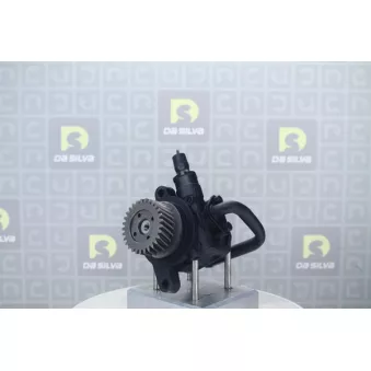 Pompe hydraulique, direction DA SILVA DP3698