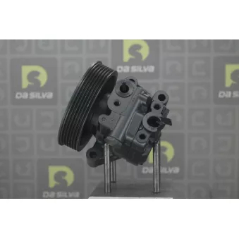 Pompe hydraulique, direction DA SILVA DP4123
