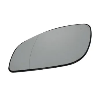 Verre de rétroviseur, rétroviseur extérieur BLIC 6102-02-1251221P