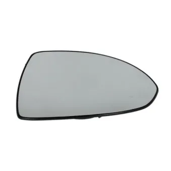 Verre de rétroviseur, rétroviseur extérieur BLIC 6102-02-1272222P
