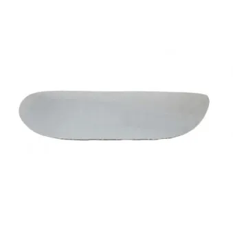 Verre de rétroviseur, rétroviseur extérieur BLIC 6102-02-1281959P