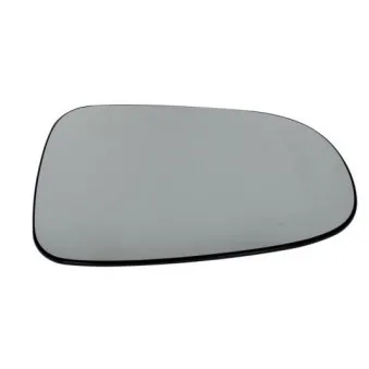 Verre de rétroviseur, rétroviseur extérieur BLIC 6102-02-1291138P