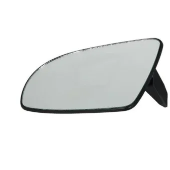 Verre de rétroviseur, rétroviseur extérieur BLIC 6102-02-1291215P