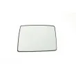 Verre de rétroviseur, rétroviseur extérieur BLIC 6102-02-1291220P - Visuel 1