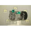 Compresseur, climatisation DA SILVA FC1610 - Visuel 2
