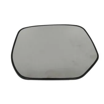 Verre de rétroviseur, rétroviseur extérieur BLIC 6102-02-1291939P