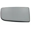 Verre de rétroviseur, rétroviseur extérieur BLIC 6102-02-1291990P - Visuel 1