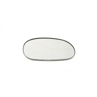 Verre de rétroviseur, rétroviseur extérieur BLIC 6102-02-1292224P