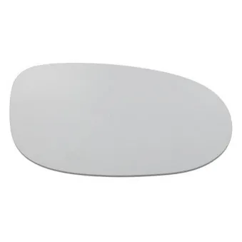 Verre de rétroviseur, rétroviseur extérieur BLIC 6102-02-1292533P
