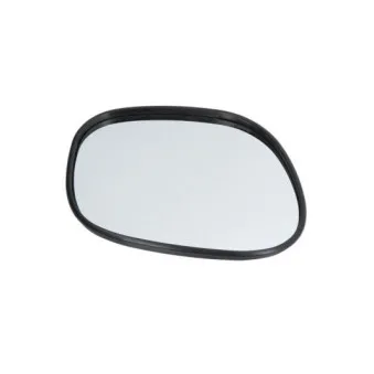 Verre de rétroviseur, rétroviseur extérieur BLIC 6102-02-1292958P