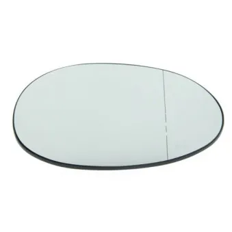 Verre de rétroviseur, rétroviseur extérieur BLIC 6102-02-1293857P