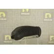 Joint-soufflet, direction DA SILVA K5523 - Visuel 2