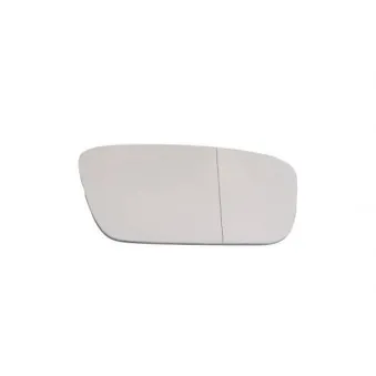 Verre de rétroviseur, rétroviseur extérieur BLIC 6102-02-5500891P
