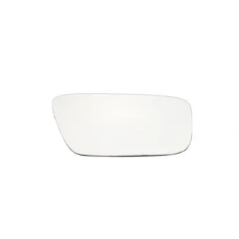 Verre de rétroviseur, rétroviseur extérieur BLIC 6102-02-5500893P