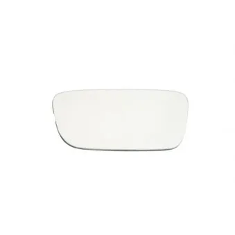 Verre de rétroviseur, rétroviseur extérieur BLIC 6102-02-5500894P