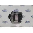 Alternateur DA SILVA MAQ0250 - Visuel 1