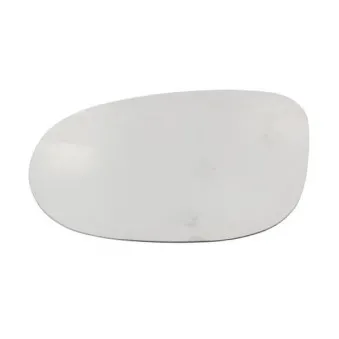 Verre de rétroviseur, rétroviseur extérieur BLIC 6102-03-048367P