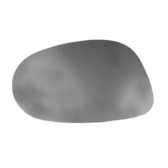 Verre de rétroviseur, rétroviseur extérieur BLIC 6102-03-048370P