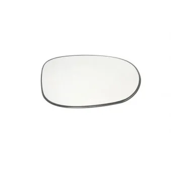 Verre de rétroviseur, rétroviseur extérieur BLIC 6102-03-2001210P