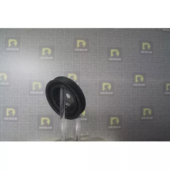 Poulie, vilebrequin DA SILVA PL8100