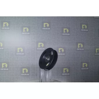 Poulie, vilebrequin DA SILVA PL8115