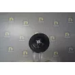 Poulie, vilebrequin DA SILVA PL8167 - Visuel 1