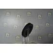 Poulie, vilebrequin DA SILVA PL8167 - Visuel 3