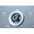 Poulie, vilebrequin DA SILVA PL8170 - Visuel 1