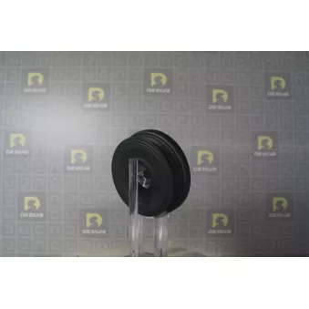 Poulie, vilebrequin DA SILVA PL8180